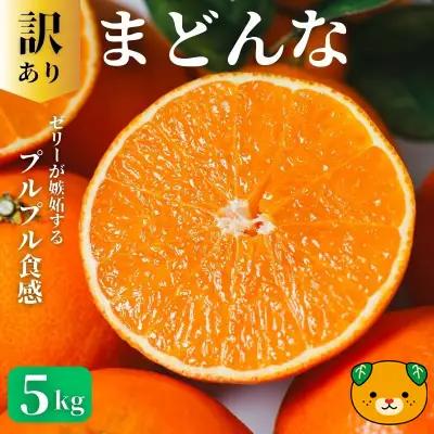 【先行予約：2026年11月20日～発送】訳あり まどんな 5kg 数量限定 愛南町青果市場組合