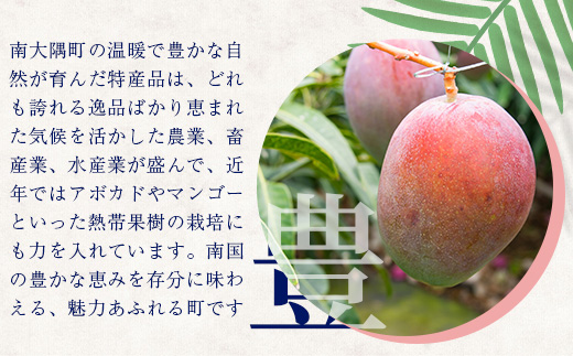 【返礼品なしの寄附】鹿児島県南大隅町 1口:4,000円 MN-9│鹿児島県 南大隅町 寄付 寄附 応援 支援 応援寄付金 支援寄付金 寄付のみ 返礼品なし 返礼品なしの寄付 4000円 