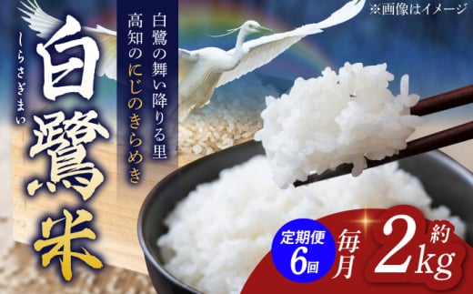 【6回定期便】 新米 R7年度産 農薬節減！ 白鷺米 にじのきらめき 各約2kg 合計約12kg / 高知 米 お米 精米 　【津ノ宮農園】 [ATBV005]