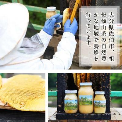 ふるさと納税 佐伯市 国産 はちみつ (600g) 多賀さん採蜜 |  | 02