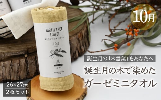 10月「栗」の木言葉 「公平」　 BIRTH TREE TOWEL  | RYOKUSUIEN 緑酔園 草木染め THE NEWOLD WORKS バースツリータオル 栗 くり ガーゼ タオル ハンカチ  ふわふわ 植物 草木染ガーゼ アップサイクル エシカル ヘリンボーン ギフト贈り物 お祝い プレゼント 母の日 父の日 記念日 誕生日 埼玉県 草加市 草加
