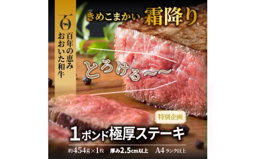 まさに肉のエアーズロック〃おおいた和牛１ポンド極厚ステーキ（29365A）_イメージ3