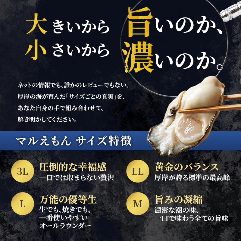 【 3ヵ月 定期便 】 厚岸産 ブランド 殻付カキ マルえもん 生食用 サイズ食べ比べ 12個 (3L・L各6個)[ 魚貝類 生牡蠣 かき 牡蠣 カキ 生ガキ 食べ比べ ]
