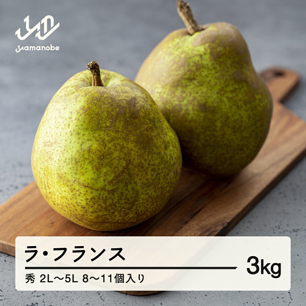 【ふるさと納税】山形県産 ラ・フランス 秀 2L～5L 3kg (8~11個入り) nf-lasyx3