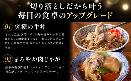 牛肉 鹿児島県産切り落とし肉 1kg(500g×2) 牛肉《30日以内に出荷予定(土日祝除く)》