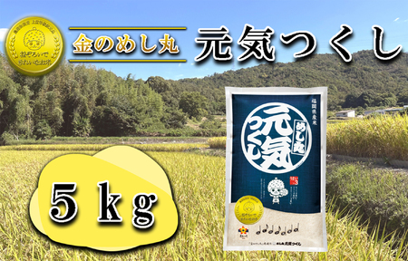 CE-056_令和７年米　金のめし丸元気つくし 5Kg(1袋）