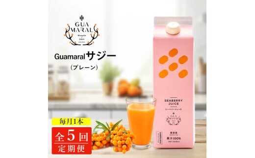 
										
										【定期便5カ月】サジー グアマラルサジー 1000ml 毎月1本5カ月コース｜サジージュース サジー シーベリー 沙棘 グアマラル 健康ドリンク 健康 美容 栄養 果汁 鉄分補給 栄養補給 健康食品 ギフト 贈答 贈り物 プレゼント お祝 ご褒美 記念日 記念品 お中元 お歳暮 _DX21
									