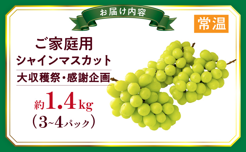 【大収穫祭・感謝企画】ご家庭用シャインマスカットパック　約1.4kg(3～4パック) | シャインマスカット マスカット ぶどう ブドウ 葡萄 果物 フルーツ 新鮮 くだもの 国産 ギフト お裾分け 