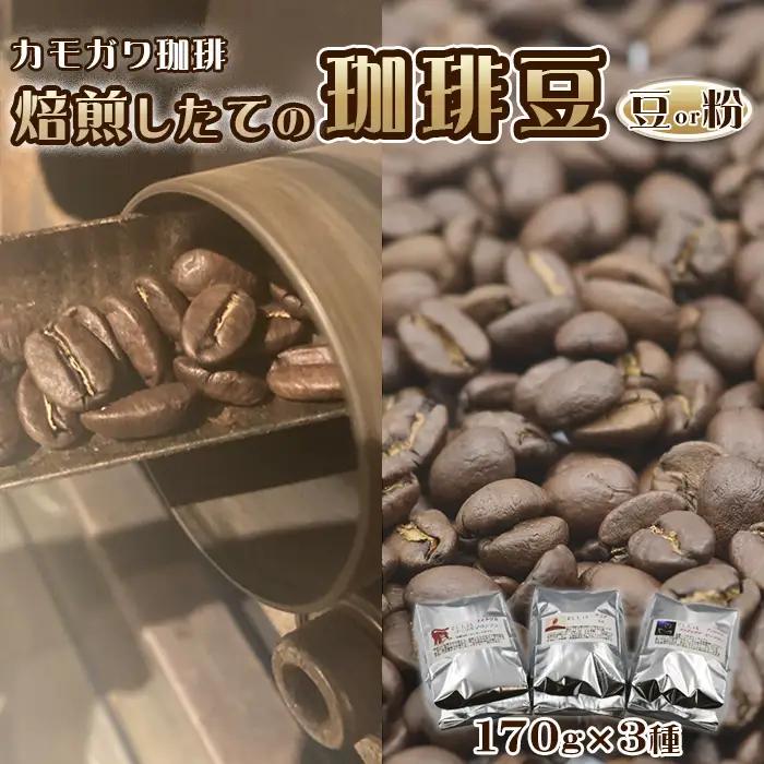 【カモガワ珈琲】焙煎したてのコーヒー豆 ３種（170g×３袋）《粉》　[0018-0025]