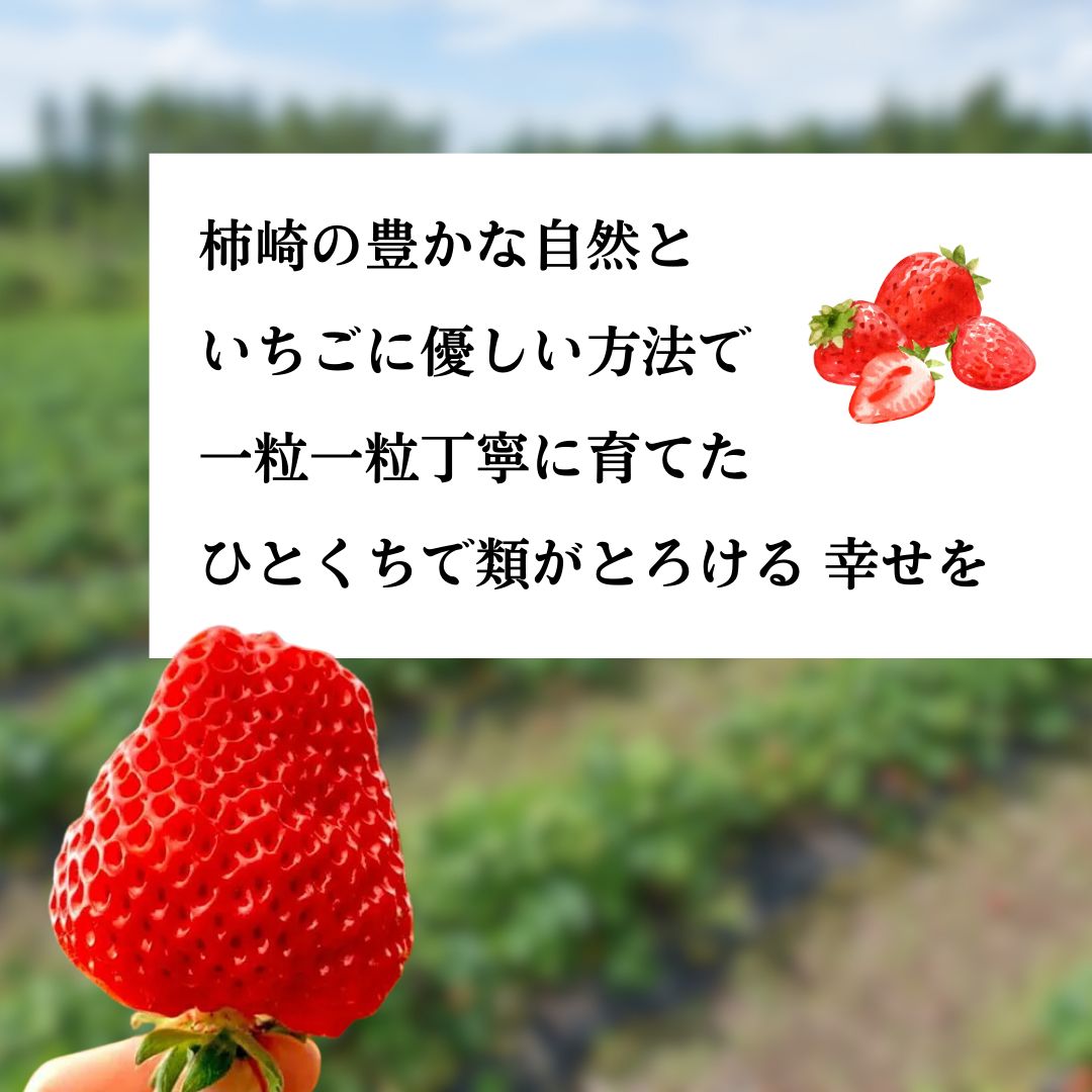 越後姫　ジャム2個入り イチゴ 苺 ジャム 上越市 新潟