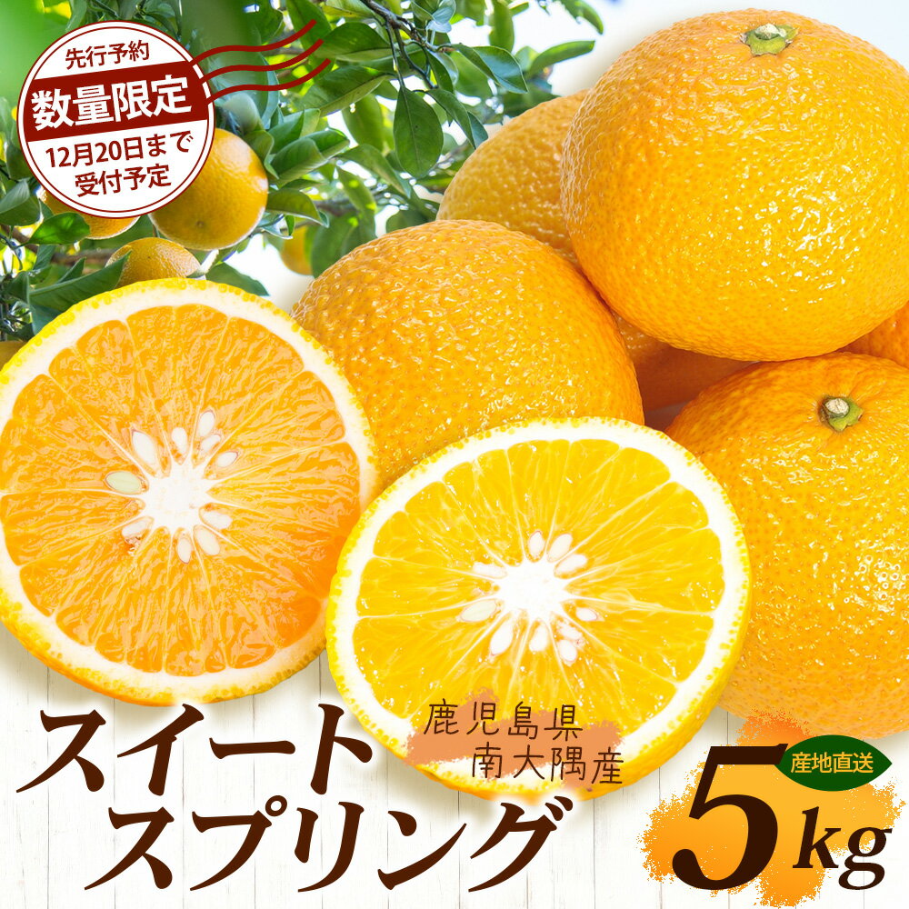【ふるさと納税】【数量限定】鹿児島県南大隅産スイートスプリング 約5kg 【2025年12月下旬より順次発送】AL7510｜柑橘 くだもの 果物 フルーツ スイートスプリング 食品 人気 おすすめ 南大隅 新鮮 産地直送 爽やか 数量限定