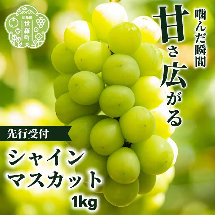 【ふるさと納税】シャインマスカット1kg (2房) 【2026年10月上旬以降順次発送】安井農園 ぶどう ブドウ 葡萄 ピオーネ フルーツ 果物 くだもの 産地直送 世羅 A009-04