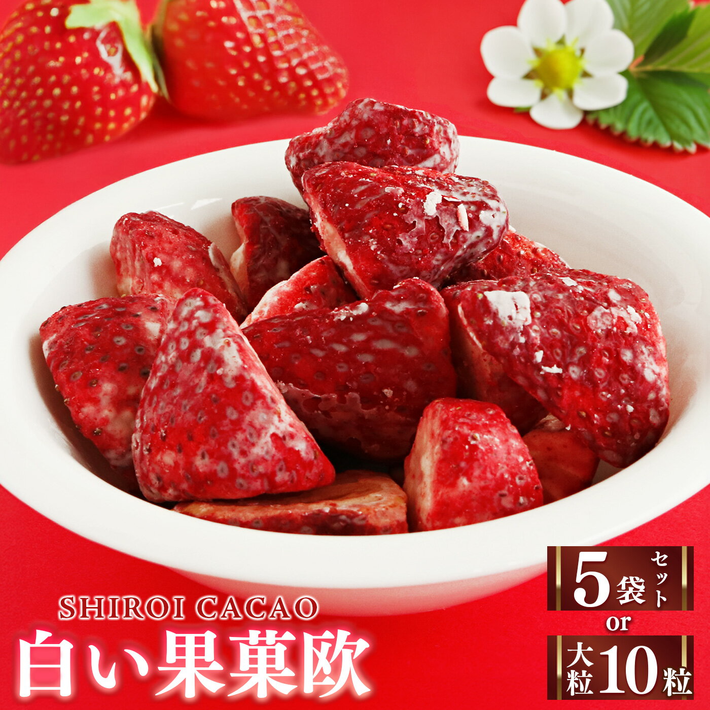 【ふるさと納税】 いちご フリーズドライ 白い果菓欧 5袋 or 1箱 | お菓子 おかし オカシ フルーツ 果物 くだもの いちご イチゴ 苺 ストロベリー 奈良県 五條市 チョコレート スイーツ ギフト オシャレ スイーツ 洋菓子 バレンタイン ホワイトデー ギフト