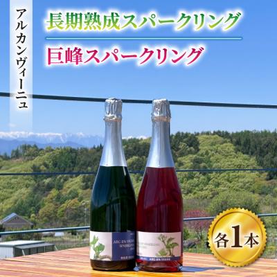 ふるさと納税 東御市 【アルカンヴィーニュ】長期熟成スパークリング&amp;巨峰スパークリングワイン2本セット