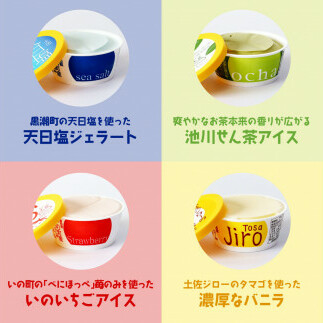 TKA015　おいしいんだもの 高知アイスセット／高知の素材にこだわった人気アイスのアソートセットです。故郷納税 11000円 2022 食べ物 ギフト 詰め合わせ シャーベット スイーツ お菓子 プ