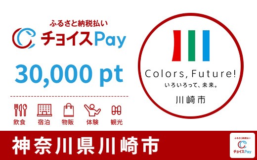 
                  川崎市チョイスPay 30,000pt【会員限定のお礼の品】
                