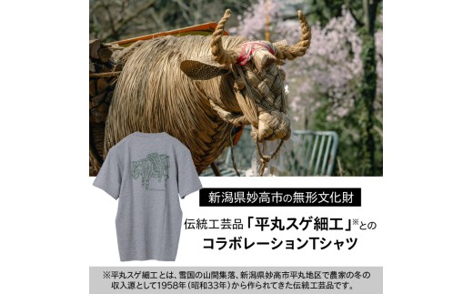 【2026年12月以降順次発送】半袖Tシャツ 平丸スゲ細工 「Cow 1958」ブラックMサイズ