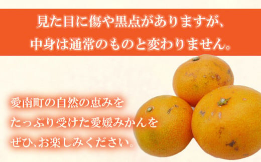先行予約 訳あり 愛媛みかん 10kg 18000円 愛媛 みかん 温州みかん こたつ みかん mikan 蜜柑 ミカン 家庭用 産地直送 国産 農家直送 糖度 期間限定 数量限定 特産品 ゼリー ジ