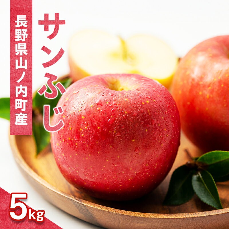 【ふるさと納税】サンふじ5kg箱（10～20玉）家庭用 産地直送 ふるさと納税 果物 くだもの フルーツ サンフジ リンゴ りんご 林檎 信州 志賀高原麓 長野県山ノ内町産　お届け：2026年11月中旬～12月下旬まで