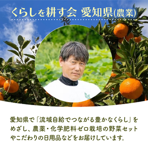 果汁100％ みかん ジュース 1000ml × 6本 無農薬 無添加 濃厚 みかん ジュース 炭酸 清涼飲料水 炭酸ジュース ジュース