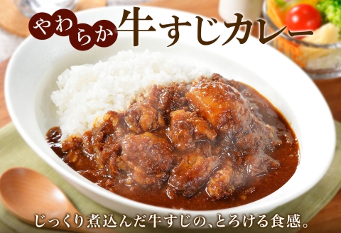 3754. 弟子屈 カレー 2種 食べ比べ 計4個 中辛 バターチキンカレー 牛すじカレー 鶏肉 牛肉 じゃがいも 業務用 レトルトカレー レトルト 北海道 弟子屈町