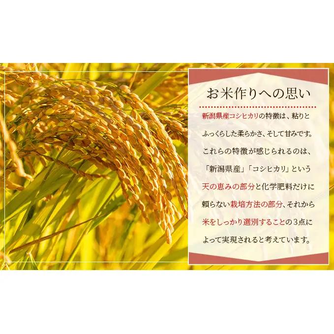 新潟産コシヒカリ精米5kg　真空パック（6か月定期配送） お米 