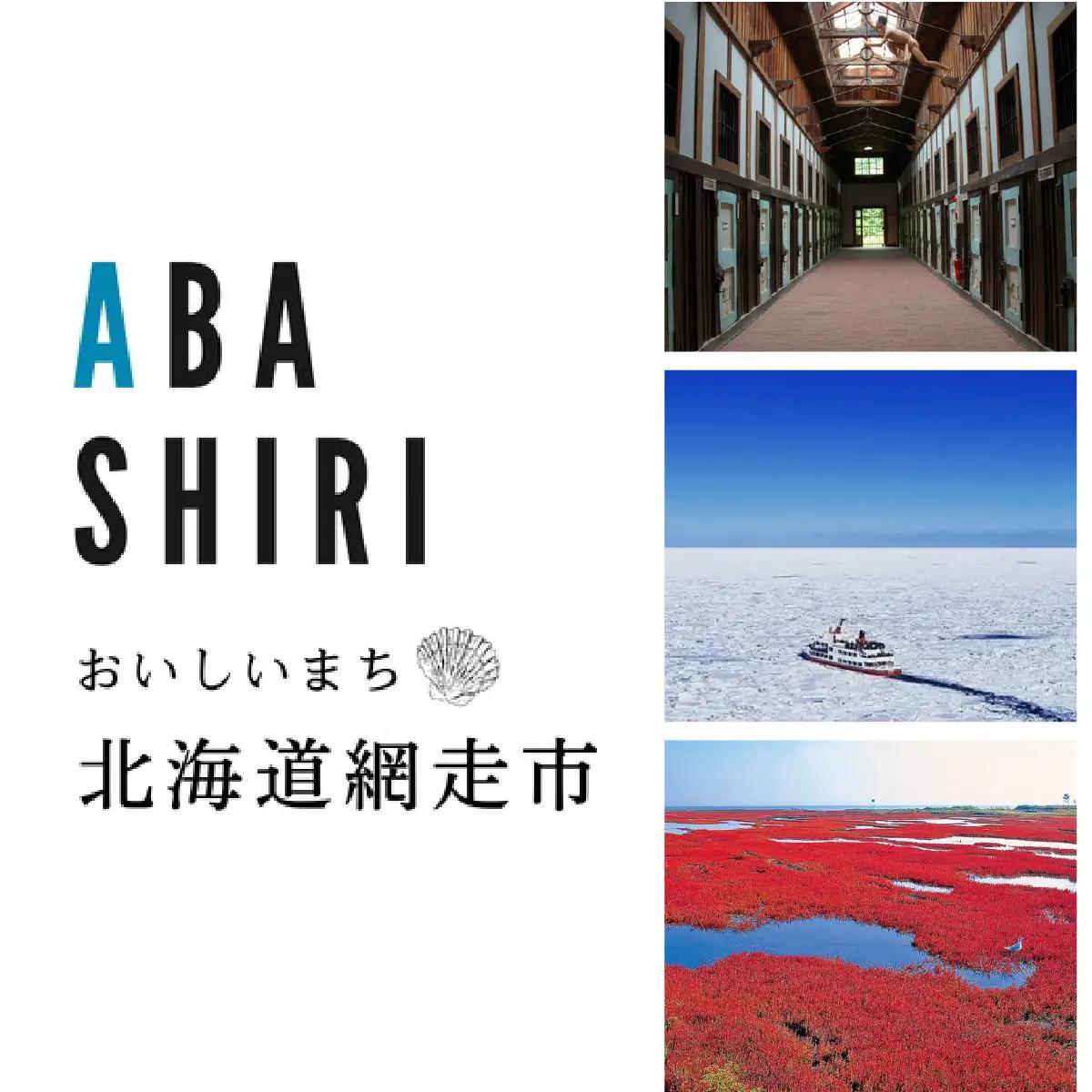 北海道網走市 日本旅行地域限定旅行クーポン300,000円分 ABBS005