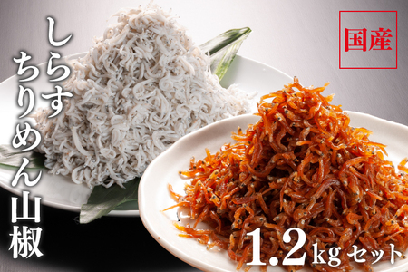 しらす 1kg ちりめん山椒 100g しらす佃煮 100g セット _AG002