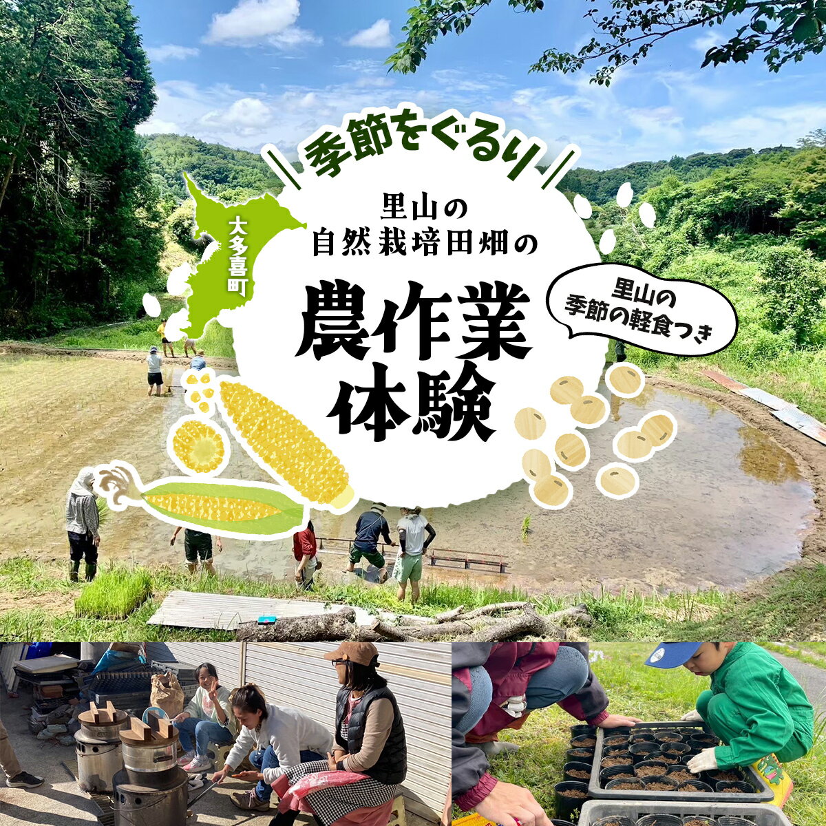 【ふるさと納税】W03508 季節をぐるり　里山の無農薬・無肥料栽培田畑の農作業体験　里山の季節の軽食つき ふるさと納税 農作業 農作物 体験 田んぼ 自然 自然体験 年3回 千葉県 大多喜町
