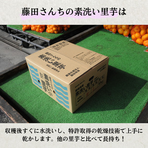 里芋 さといも 芋 いも 10kg 女早生 新鮮 柔らかい やわらかい もっちり あまい 四国中央市産
