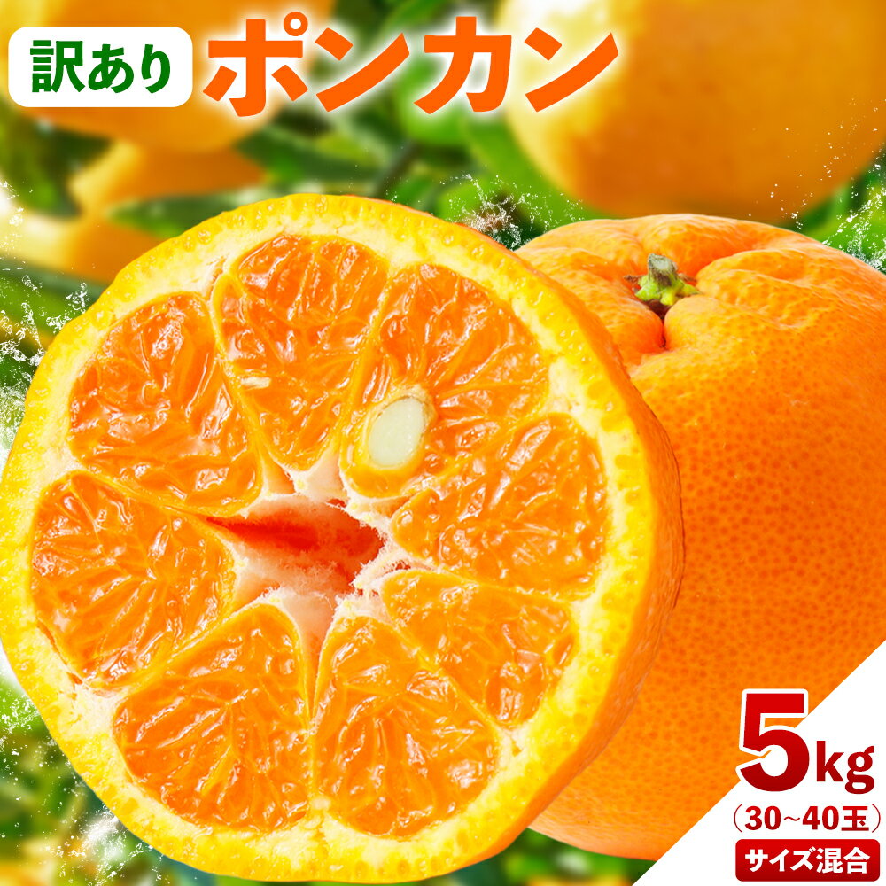 【ふるさと納税】訳あり ポンカン 5kg 30~40玉 サイズ混合 《2月中旬-3月中旬出荷予定(土日祝除く)》熊本県 葦北郡 津奈木町 ポンカン みかん 柑橘 送料無料