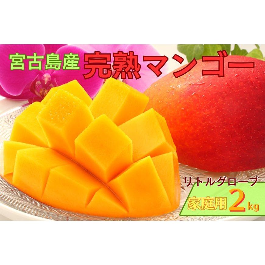 【ふるさと納税】家庭用 宮古島産マンゴー2kg ＜リトルグローブ＞（LT004）