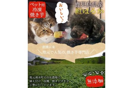  湧水町産さつまいも！紅はるかを使用したペット用冷凍やきいも(500g×3袋・計1.5kg) 国産 九州産 鹿児島県産 サツマイモ さつま芋 紅春香 芋 焼き芋 やきいも 野菜 スイーツ 冷凍 ペット