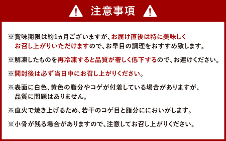 鶏の塩焼き 合計1.2kg 200g×6パック 味付き 鶏肉 国産 お肉 調理済 真空パック おつまみ おかず 焼鳥 惣菜 家飲み 家呑み 晩酌 冷凍 宮崎県 九州 送料無料