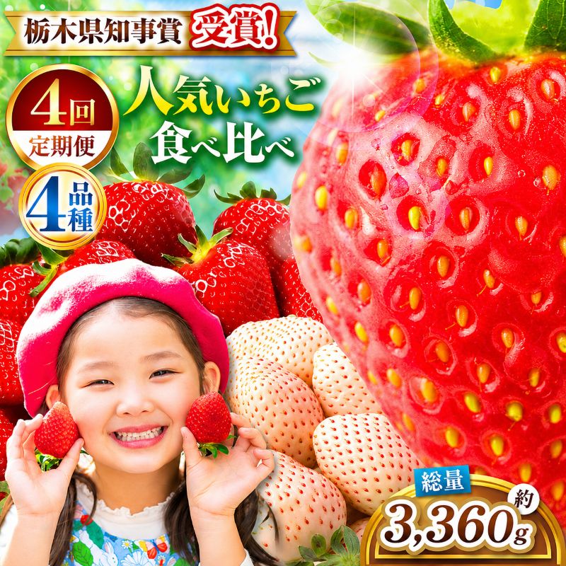 【ふるさと納税】定期便 いちご 4品種 食べ比べ 楽天限定 合計3360g｜とちあいか とちおとめ ミルキーベリー スカイベリー 2027年先行予約 いちご 苺 フルーツ 人気 高評価 栃木県 矢板市 楽天ふるさと納税