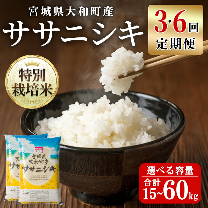 【ふるさと納税】【令和7年産】＜3・6か月定期便＞特別栽培米 ササニシキ 15kg〜60kg 回数と容量が選べる お米 おこめ 米 コメ 白米 ご飯 ごはん おにぎり お弁当 頒布会 5kg 10kg 【農事組合法人若木の里】ta543・ta544・ta545・ta546