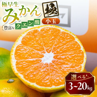 【ふるさと納税】【太陽をたっぷり浴びた】極早生みかん【極】(小玉) 3kg / 5kg / 10kg / 20kg_ みかん ミカン 蜜柑 極早生みかん 極早生 小玉 果物 くだもの フルーツ デザート おいしい かんきつ 柑橘 柑橘類 国産 【G1508897】