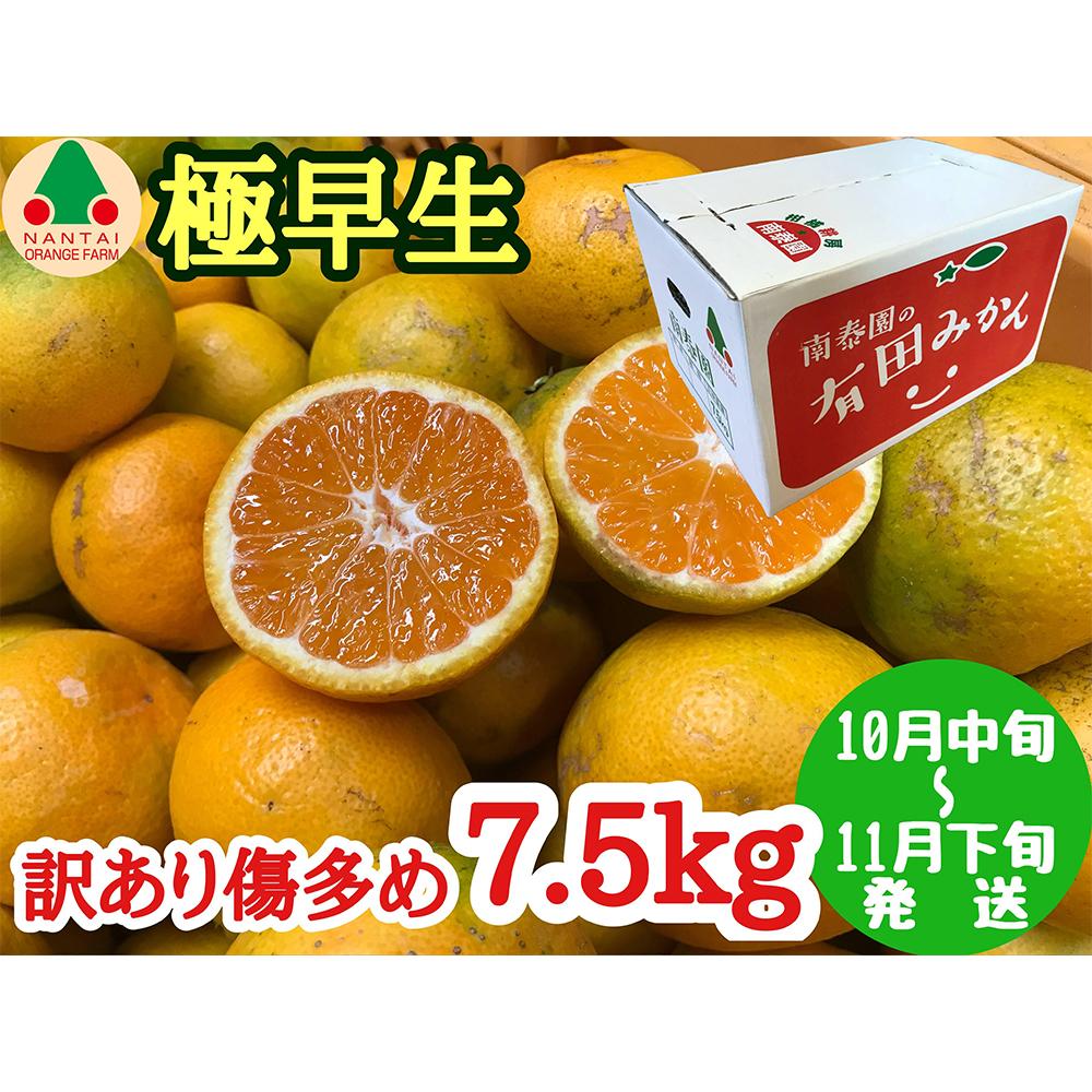 【ふるさと納税】訳あり 傷多め 極早生 有田 みかん 7.5kg L～SS サイズおまかせ 南泰園 和歌山 有田みかん