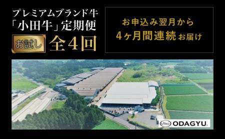 【全4回】 プレミアムブランド和牛「小田牛」定期便 （お試し） 鹿児島県産 黒毛和牛 ステーキ すき焼き ハンバーグ カレー 総菜 おかず レトルト 冷凍 小田畜産 南さつま市