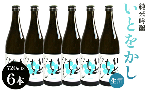 
白ワインのようなお酒！純米吟醸いとをかし生酒720ml×6本 - お酒 日本酒 地酒 アルコール フルーティー 高木酒造 高知県 香南市 gs-0085
