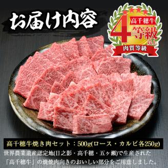 高千穂牛 焼き肉セット(ロース・カルビ各250g) 国産 宮崎県産 宮崎牛 牛肉 焼肉 ロース カルビ 霜降り A4 和牛 ブランド牛【MT010】【JAみやざき 高千穂牛ミートセンター】