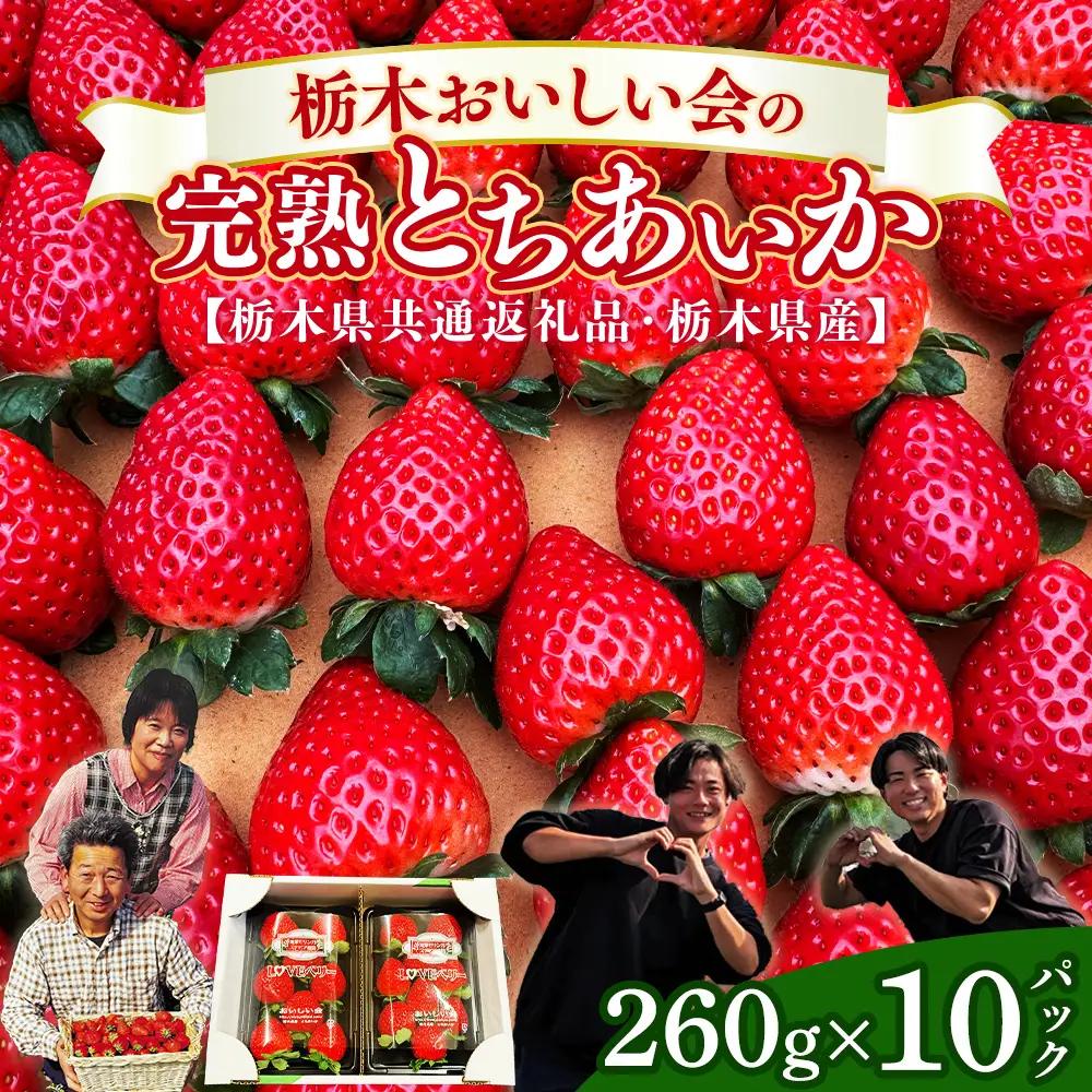 栃木おいしい会のいちご（とちあいか）260g×10パック（2600g）｜栃木県共通返礼品 栃木県産 ※2027年1月～発送