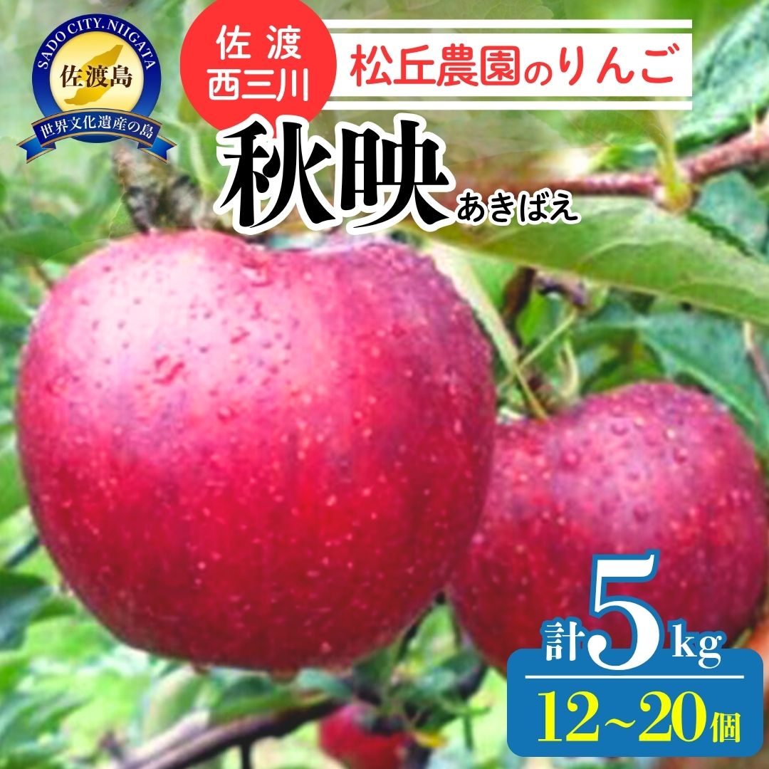 【10月上旬以降発送】佐渡 西三川・松丘農園のりんご「秋映（あきばえ）」12個～20個　計5kg