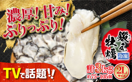 味がちがう！広島産 大粒 鍛え牡蠣 むき身 2Lサイズ (冷凍) 計3kg かき カキ 人気 海鮮 BBQ 簡単 レシピ ギフト 江田島市/有限会社寺本水産[XAE029]