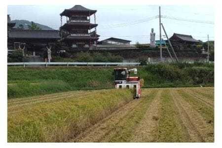 【令和7年産】獅子米 いのちの壱 玄米 10kg 岡田ファーム コンテスト受賞米 お米 米 おこめ ブランド米 10キロ 国産 単一原料米 コメ こめ ご飯 銘柄米 茨城県産 茨城 産直 産地直送 農