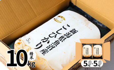 【12ヶ月定期便】令和7年産新米 魚沼産コシヒカリ「金印」高食味米 10kg×全12回 新潟県 津南町 有限会社イタバ 