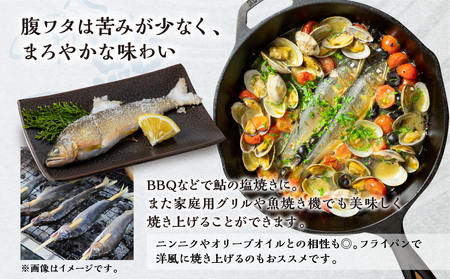 白川村産 飛騨庄川の天然鮎 4尾 18cm以上 鮎 S509_4bi