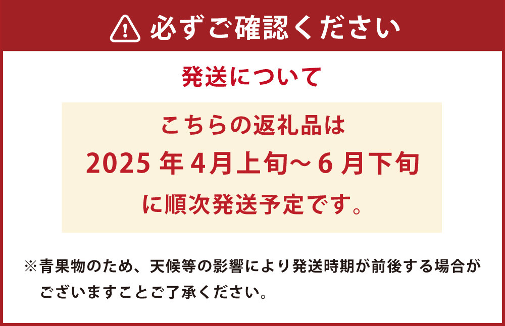 熊本スイカ 1玉 約4.5kg前後