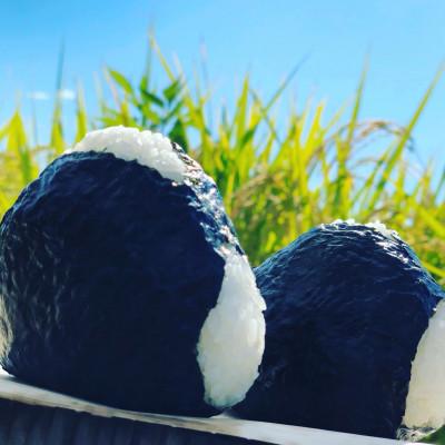 ふるさと納税 柏崎市 重野農産の新之助無洗米5kg R6年産 |  | 01