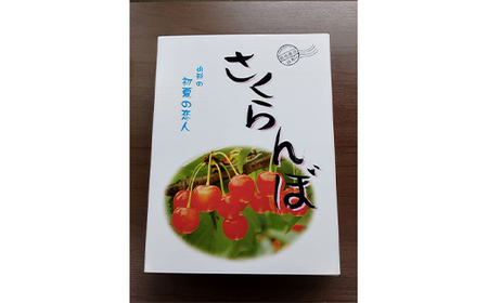 《2025年産先行受付》 山形県産 さくらんぼ＜佐藤錦＞秀品 約800g Lサイズ 200g×4パック FSY-1196